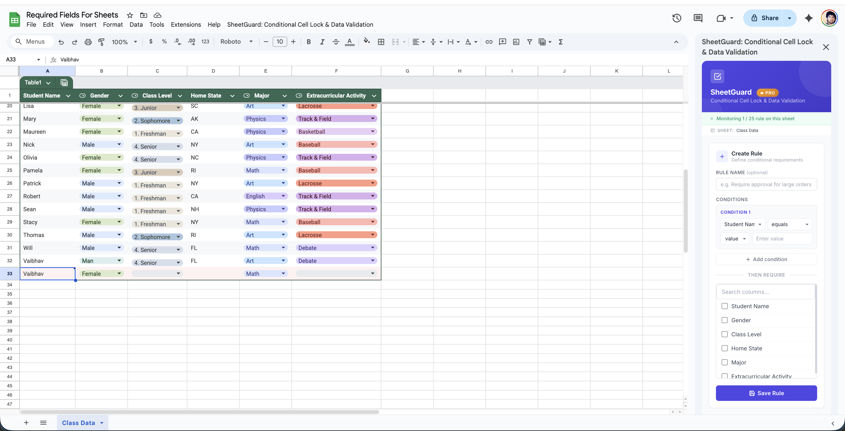 SheetGuard sidebar showing the Create Rule form inside Google Sheets
